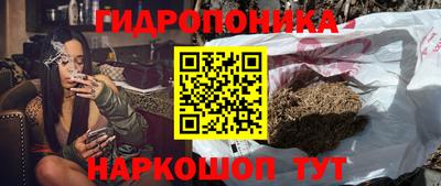 спиды Дубна