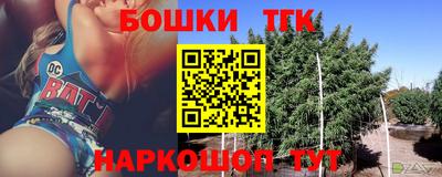 спиды Дубна