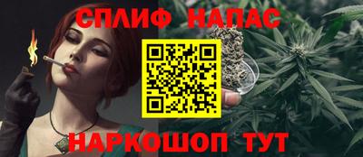 спиды Дубна